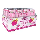 Dragon fruit Case.webp